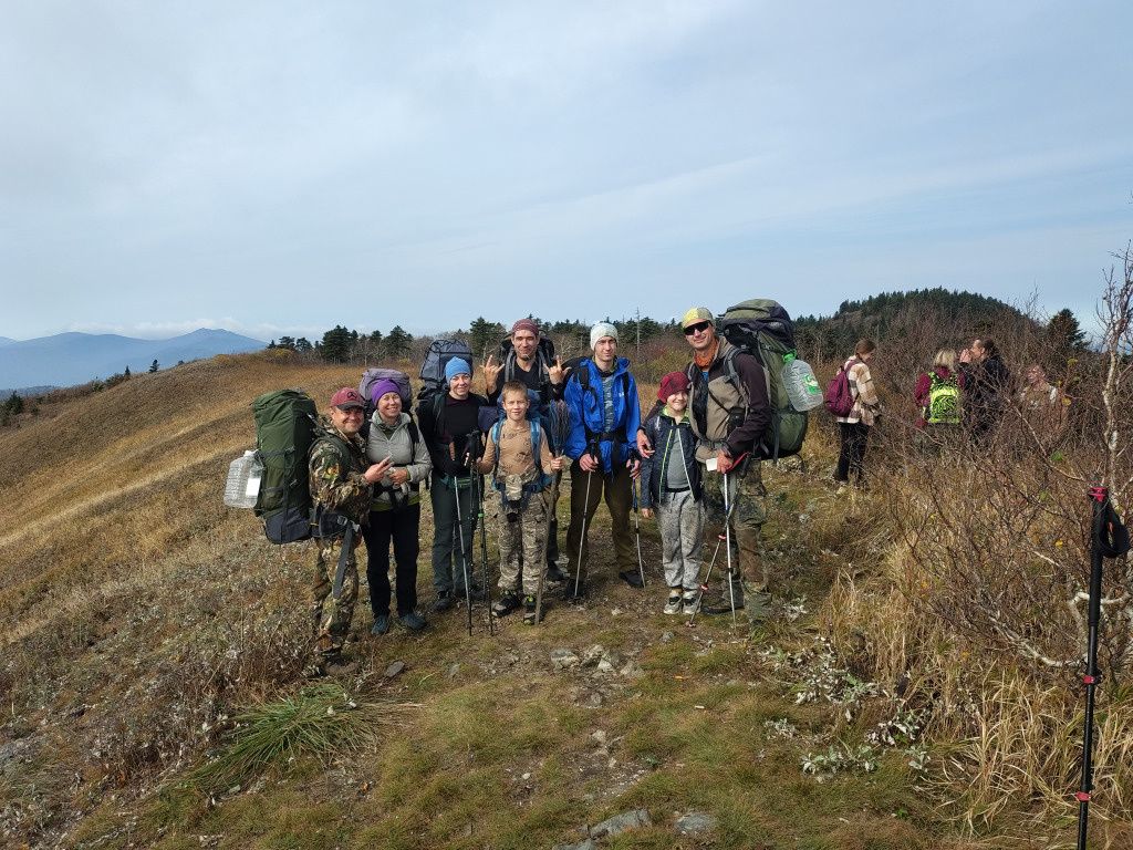 image-20260215133234444