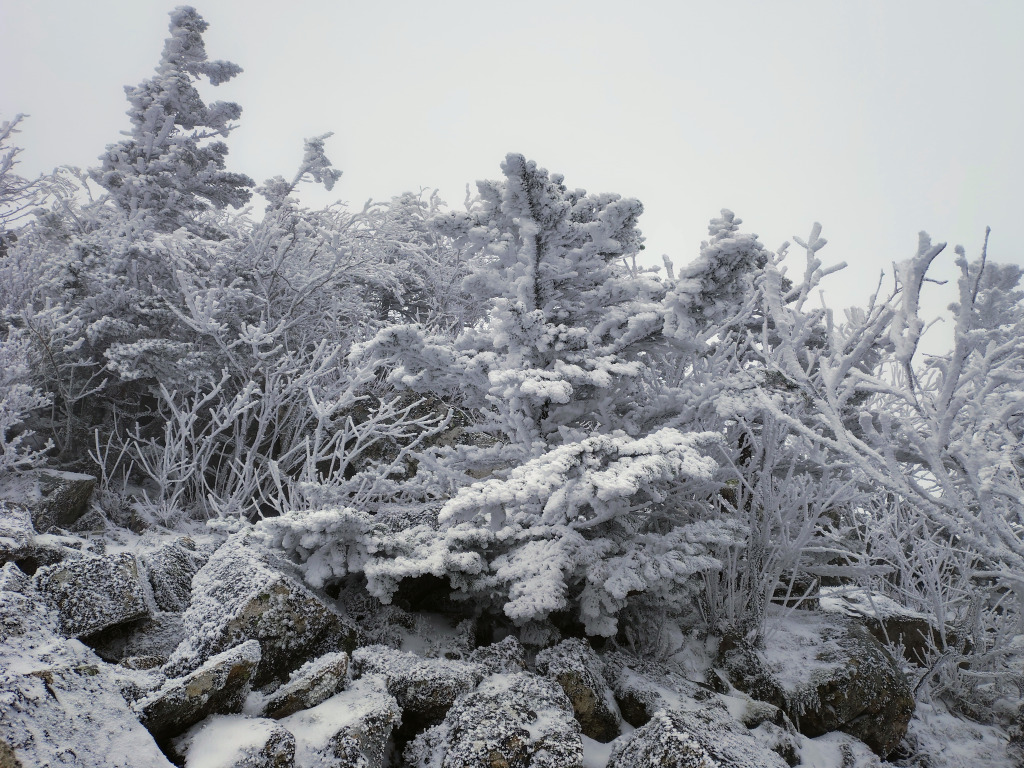 image-20260215140911633