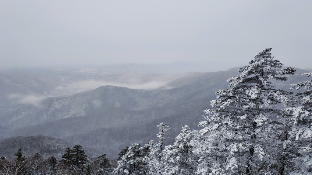 image-20260301013350484