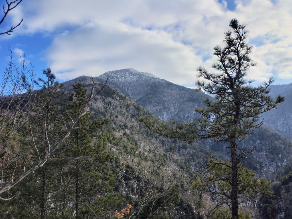 image-20260302234559795